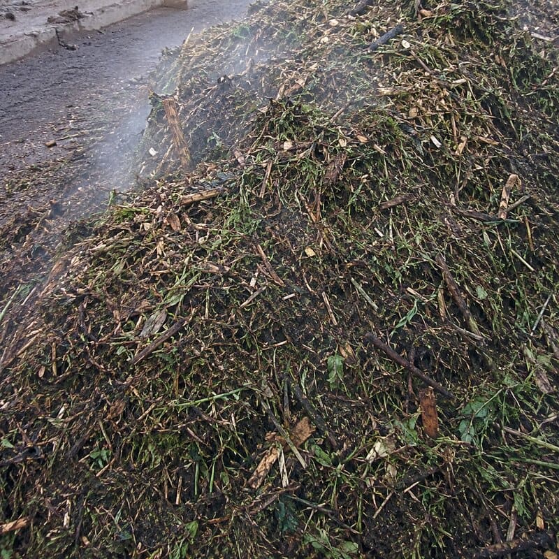 Material orgánico recién aportado: restos vegetales verdes y marrones mezclados con astillas de madera, con los trozos todavía reconocibles.
